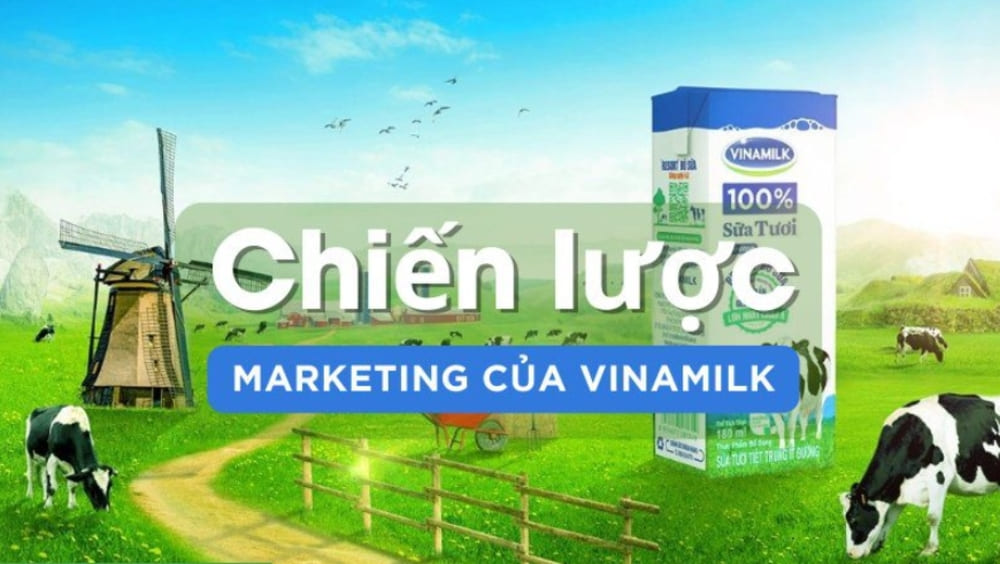 3. Chiến lược tiếp thị và xây dựng thương hiệu