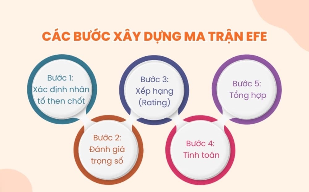 Các bước xây dựng mô hình EFE