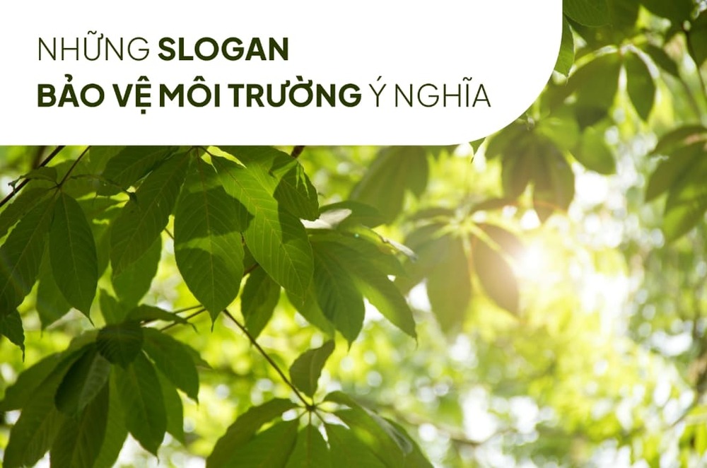 99+ Slogan Môi Trường | Thông Điệp Tốt Ý Nghĩa Hay