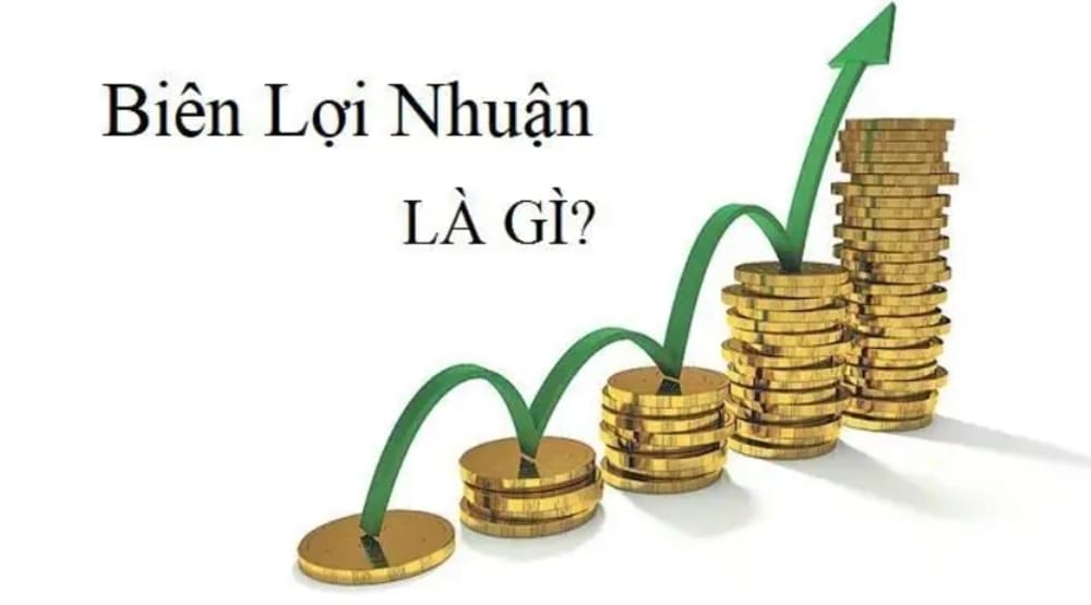 Biên Lợi Nhuận Là Gì? Tìm Hiểu Cách Tính Biên Lợi Nhuận