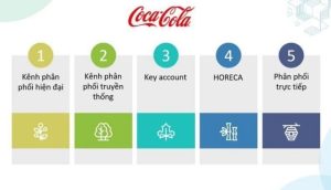 Chiến Lược Phân Phối Của Coca Cola | Bí Quyết Dẫn Tới Thành Công