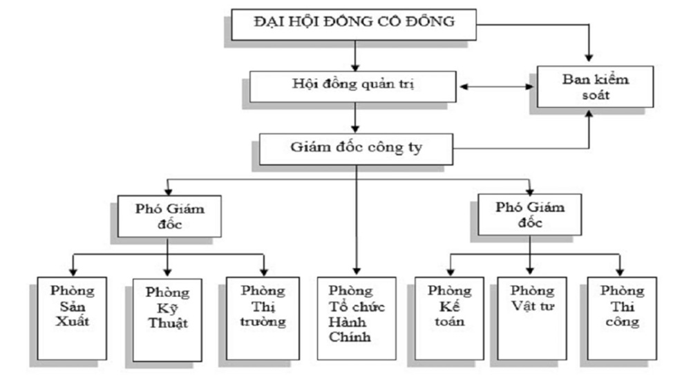 Công ty cổ phần: Đặc điểm, Cơ cấu quản lý và Những điều cần lưu ý