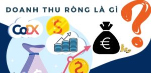 Doanh Thu Ròng Là Gì | Cách Tính Và Tạo Doanh Thu Ròng