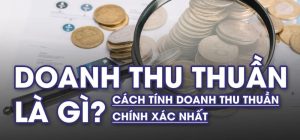 Doanh Thu Thuần Là Gì | Nắm Bắt Để Thành Công