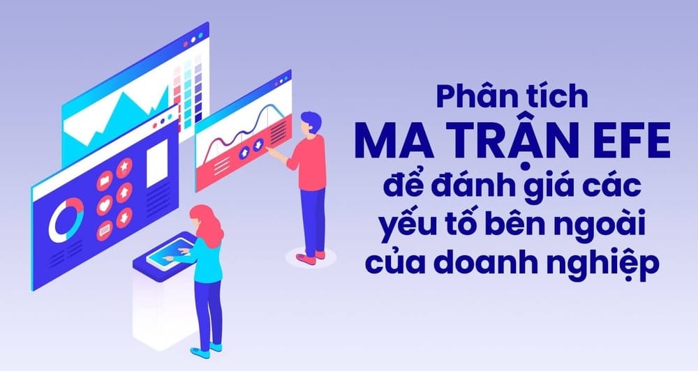 Giải thích ma trận EFE là gì?