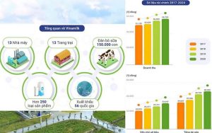 Hoạch Định Chiến Lược Của Vinamilk | Con Đường Thành Công