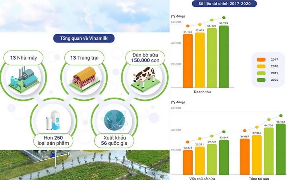 Hoạch Định Chiến Lược Của Vinamilk | Con Đường Thành Công