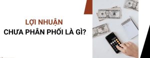 Lợi Nhuận Chưa Phân Phối Là Gì | Cách Tính Lợi Nhuận Chi Tiết