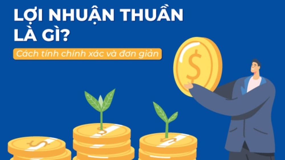 Lợi Nhuận Thuần Là Gì | Cách Tính Chính Xác