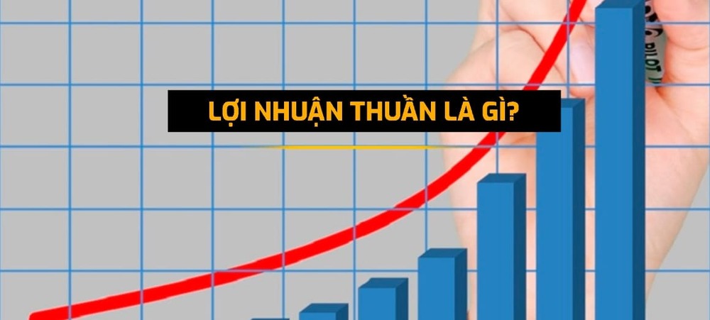 Lợi nhuận thuần là gì?