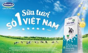 Ma trận QSPM của Vinamilk | 5 Bước Xây Dựng Ma Trận