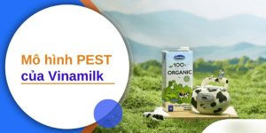 Mô Hình Pestel Của Vinamilk | Phân Tích Của Giảng Viên Bách Khoa