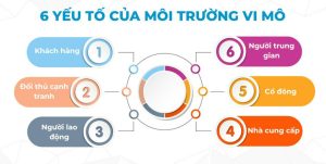 Môi Trường Vi Mô Là Gì | 6 Yếu Tố Dẫn Đến Thành Công