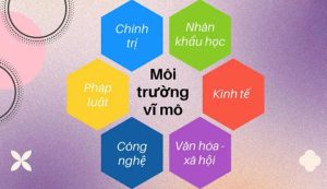 Môi Trường Vĩ Mô Là Gì | Các Yếu Tố Tiềm Ẩn Trong Kinh Tế