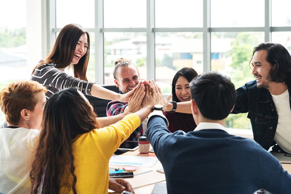 Nhân viên gắn kết cao (Highly Engaged Employees)