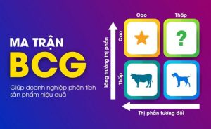 Phân Tích Ma trận BCG Là Gì | Cách Vẽ Bài Tập Ma Trận BCG