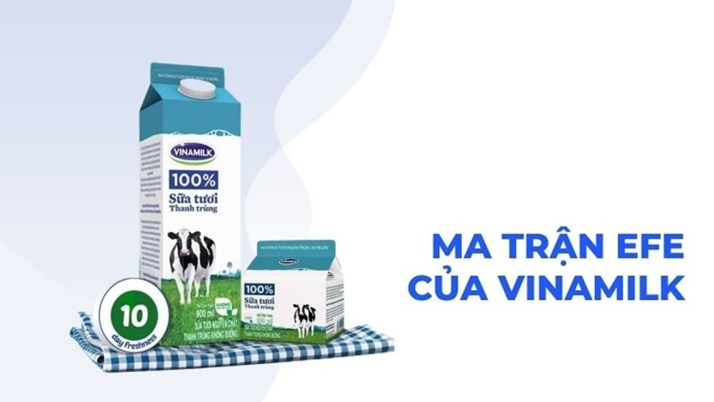 Thông tin về ma trận EFE của Vinamilk