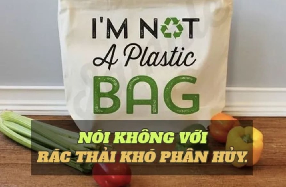 Top câu nói slogan môi trường bằng Tiếng Anh